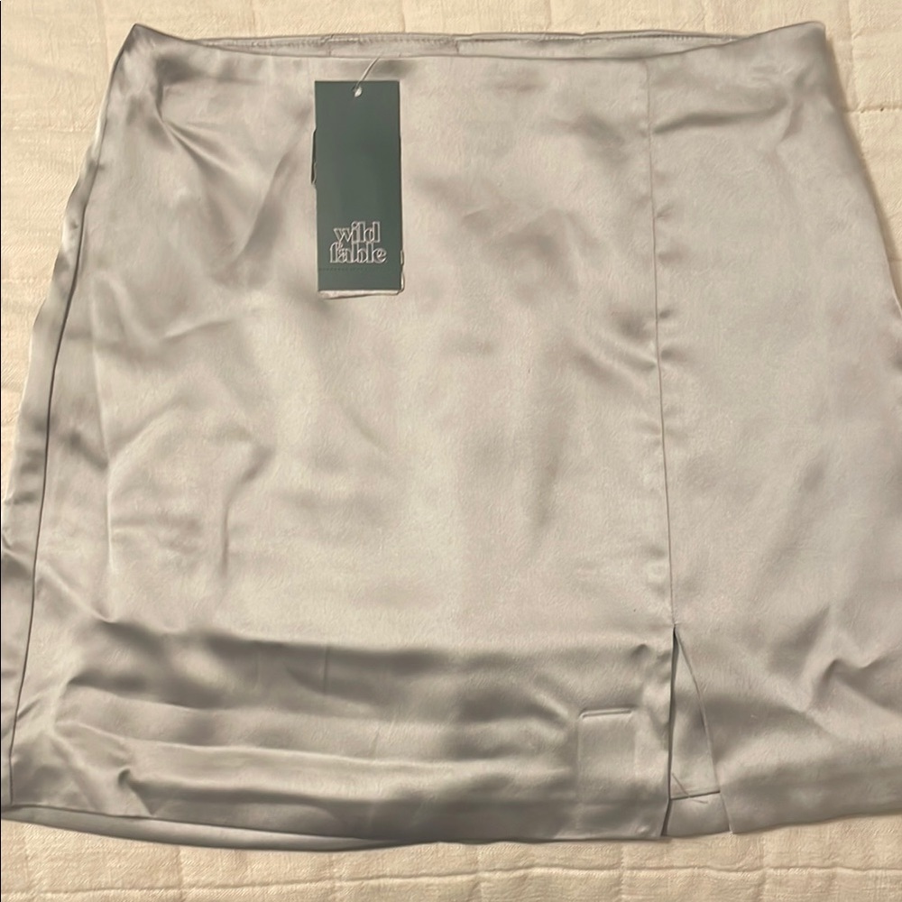 Wild Fable Silver Skirt